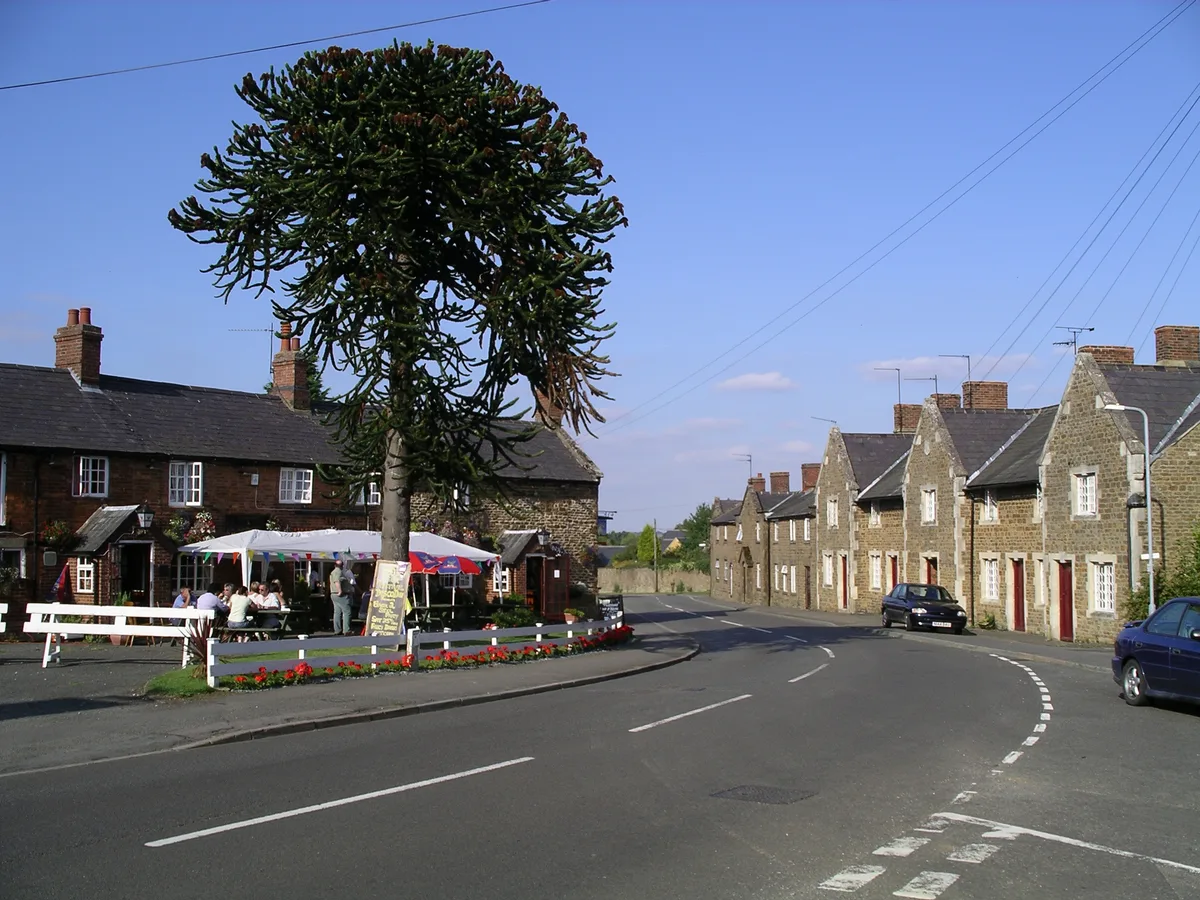 Norton