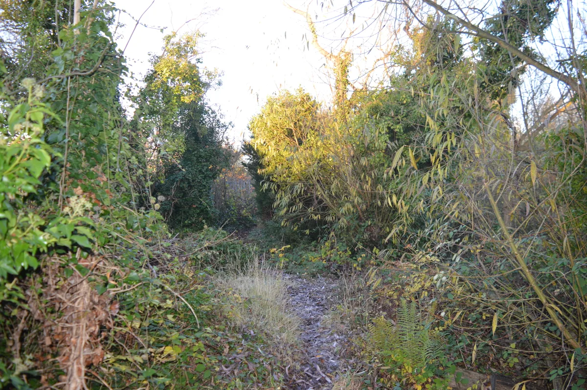 Norwood Road