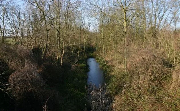 Old Warden Tunnel nature reserve