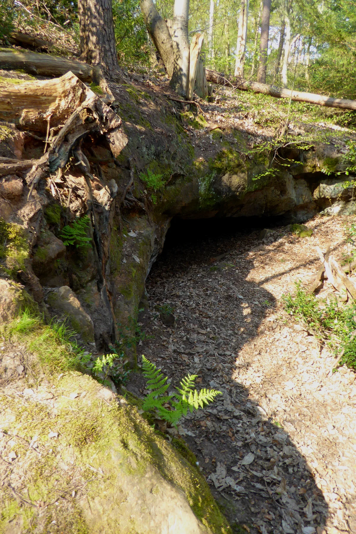Oldbury rock shelters
