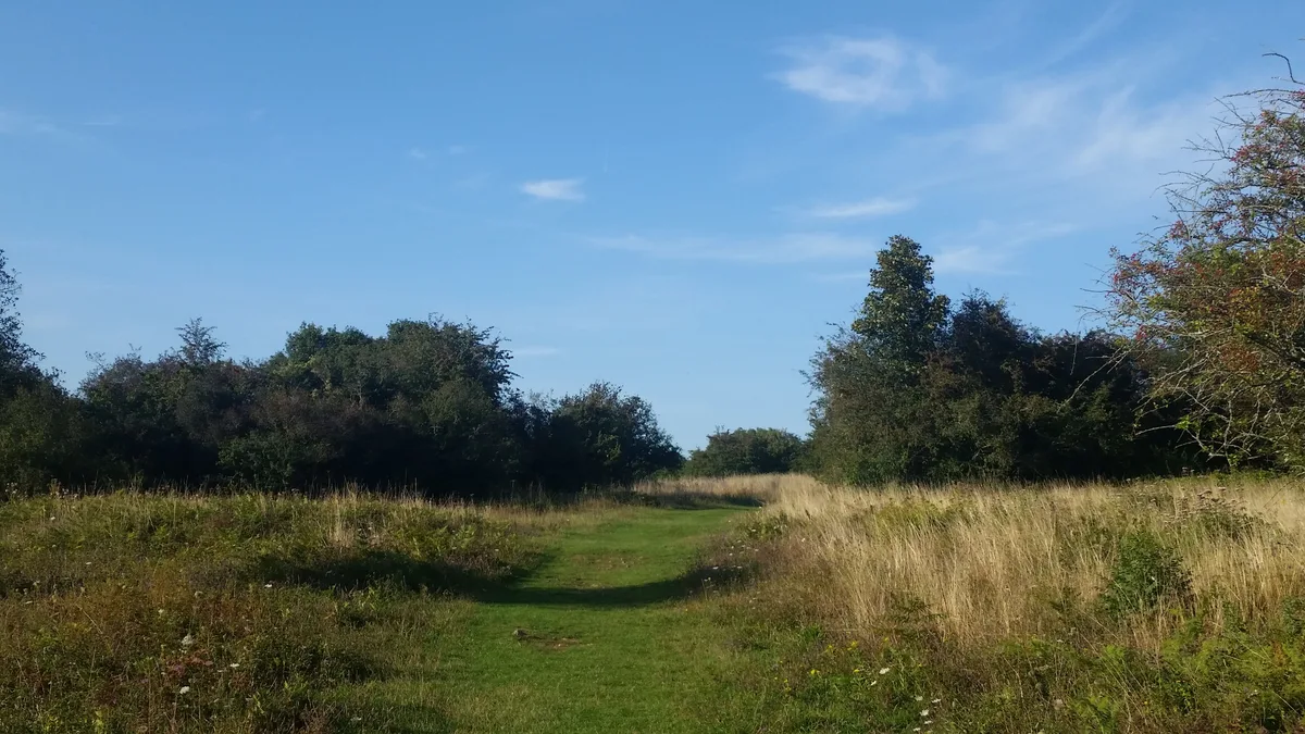 Orley Common