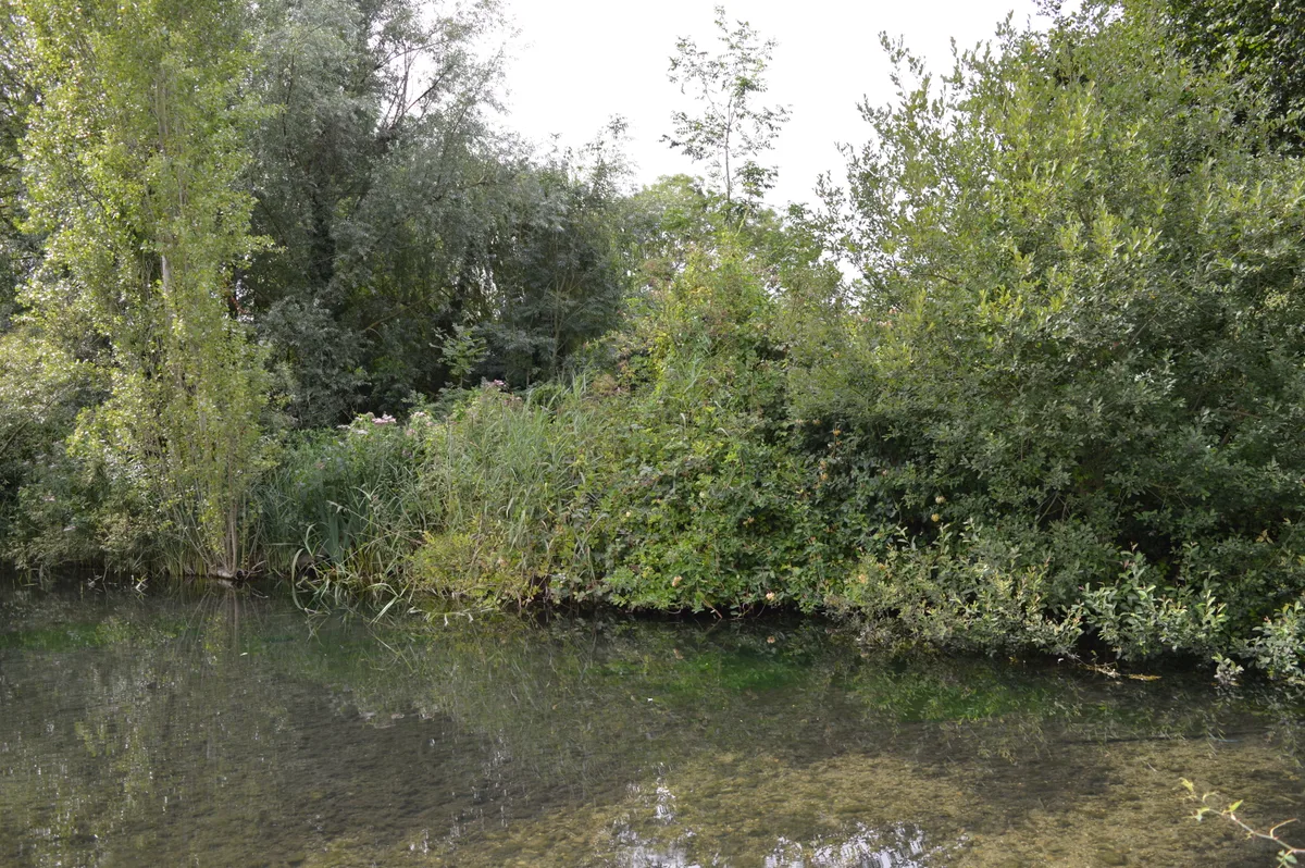 Oughtonhead Nature Reserve