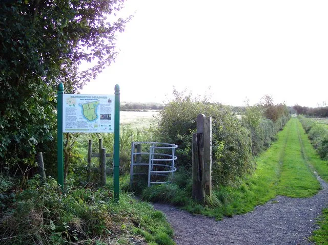 Paddington Meadows