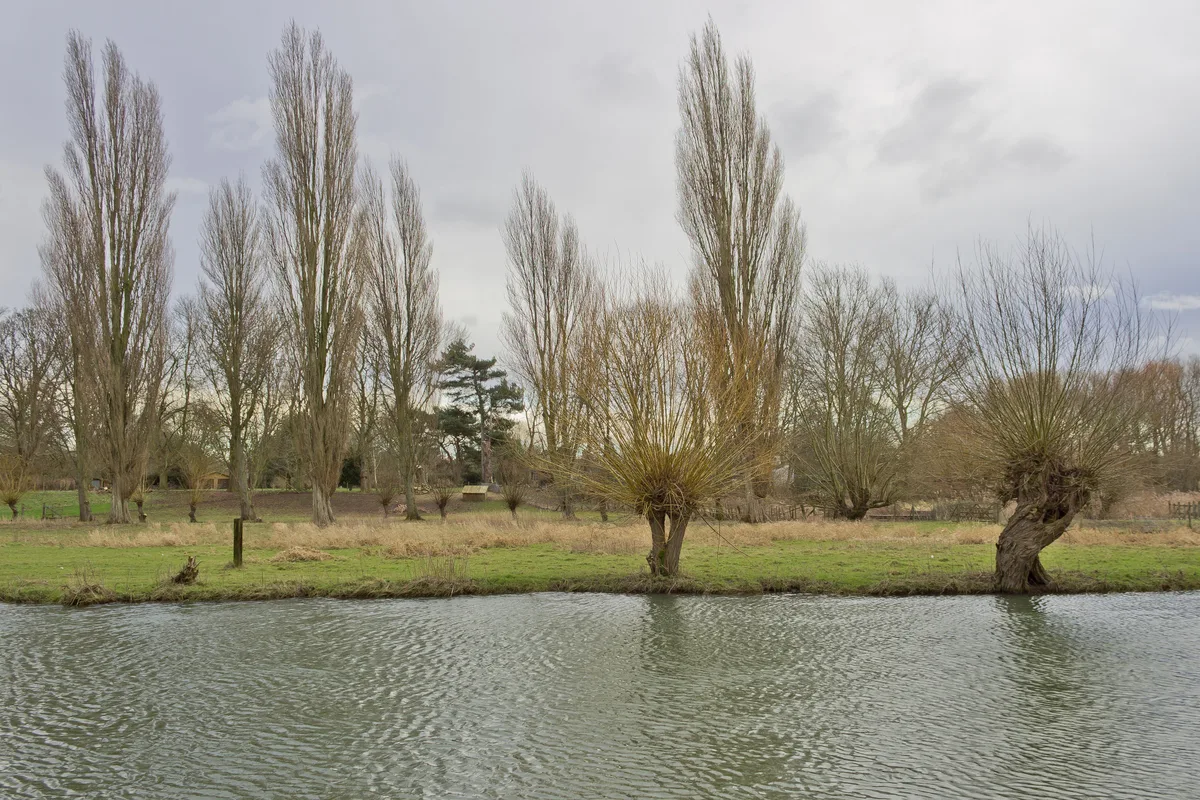 Paradise Fen nature reserve