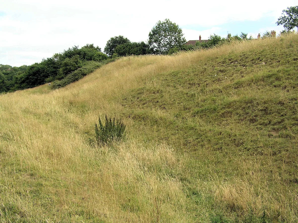 Part of the linear boundary known as the Wansdyke 420m south west of Barrowmead Cottage