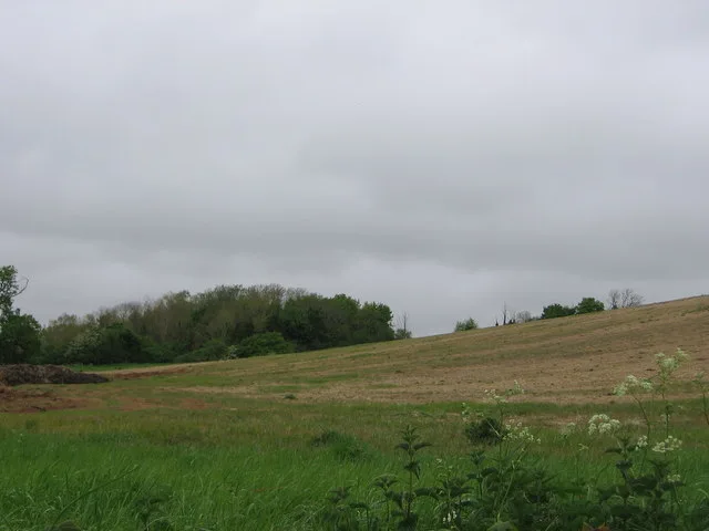 Part of the linear boundary known as the Wansdyke 585m north of Tuckingmill Farm