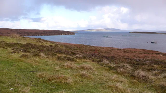 Pegal Bay