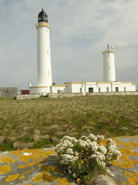 Pentland Skerries High Light