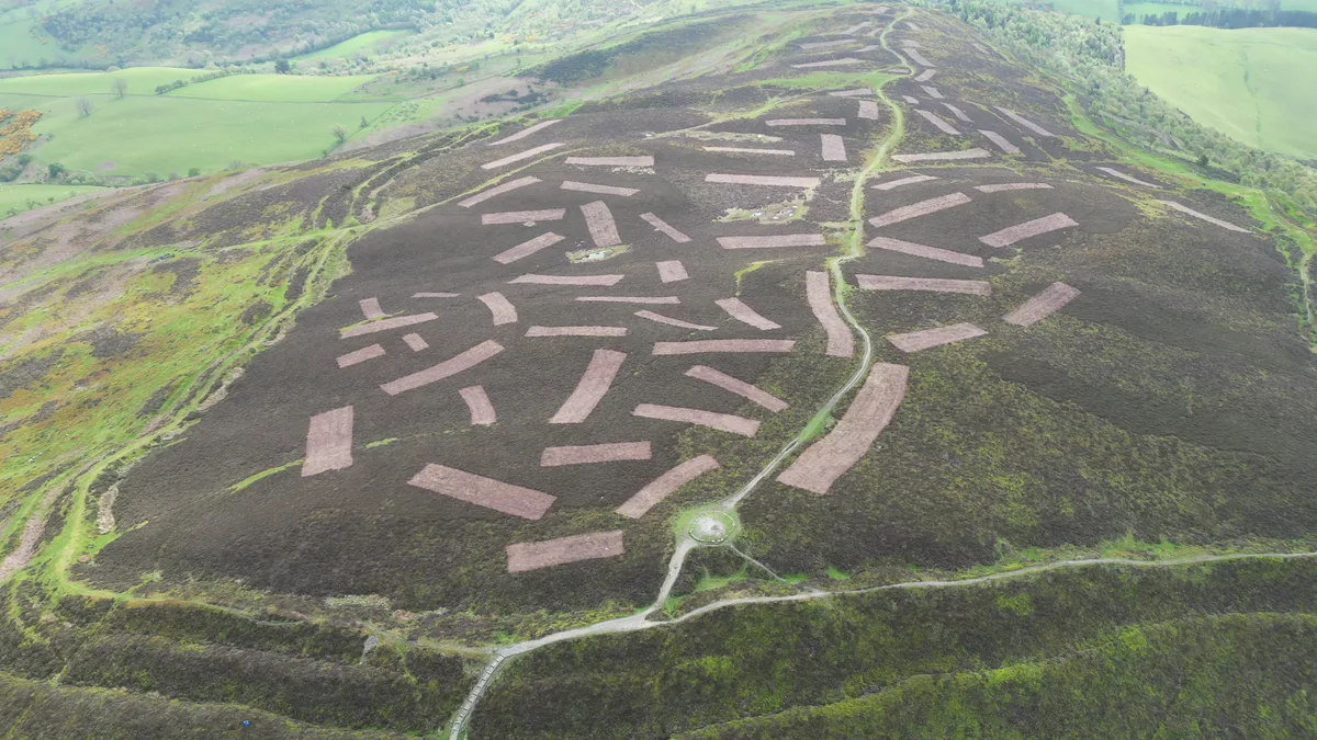 Penycloddiau