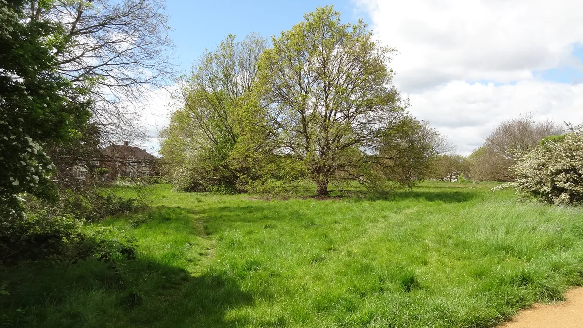 Pevensey Road Nature Reserve