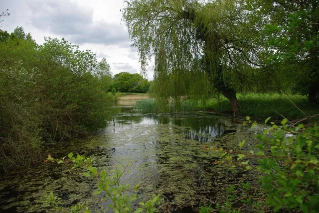 Phyllis Currie Nature Reserve