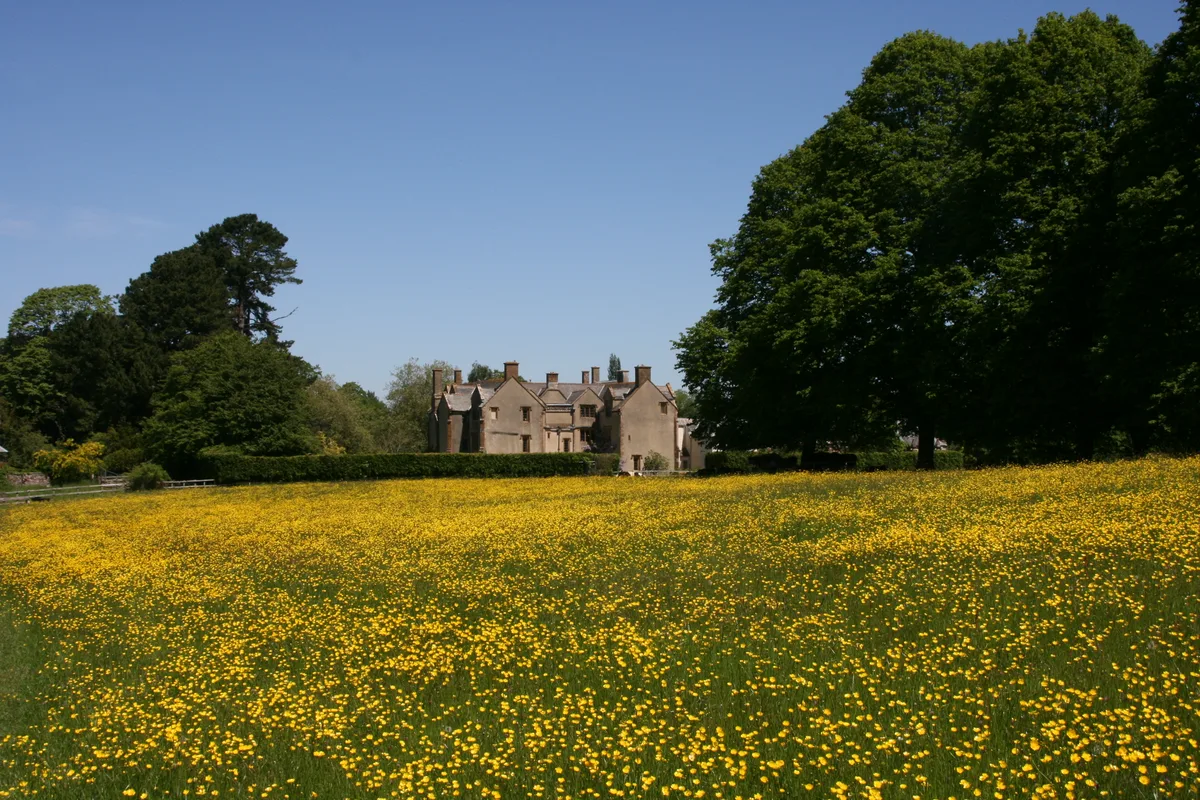 Poundisford Park