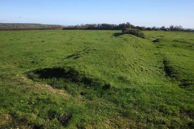 Prehistoric field system on the cliffs above Littlecombe Shoot