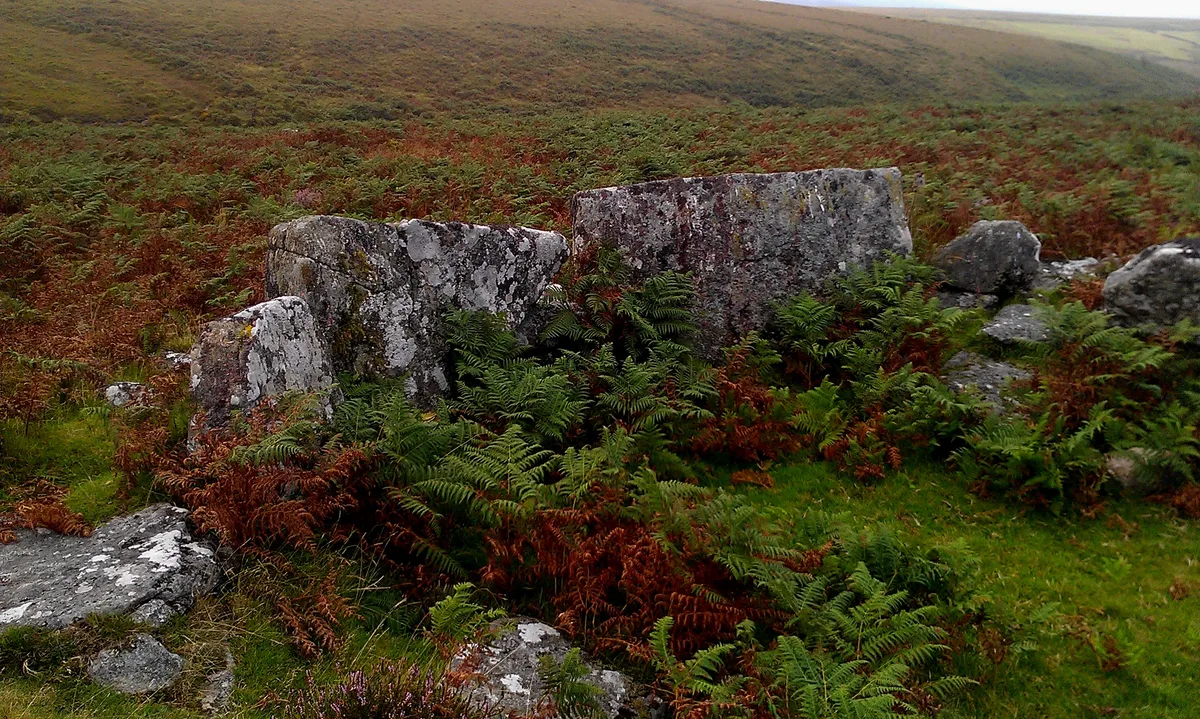 Prehistoric settlements, fields and enclosures within the Shapley Common coaxial field system, 770m south of Challacombe Cross