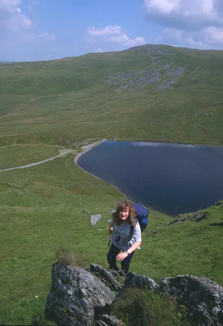 Pumlumon Fach