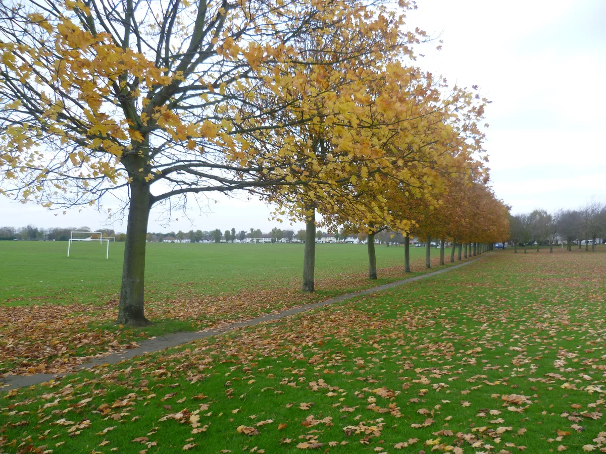 Purley Way Playing Fields