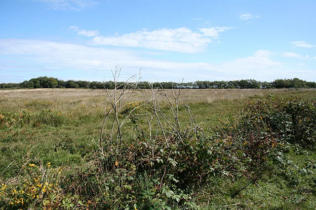 Rackenford and Knowstone Moors