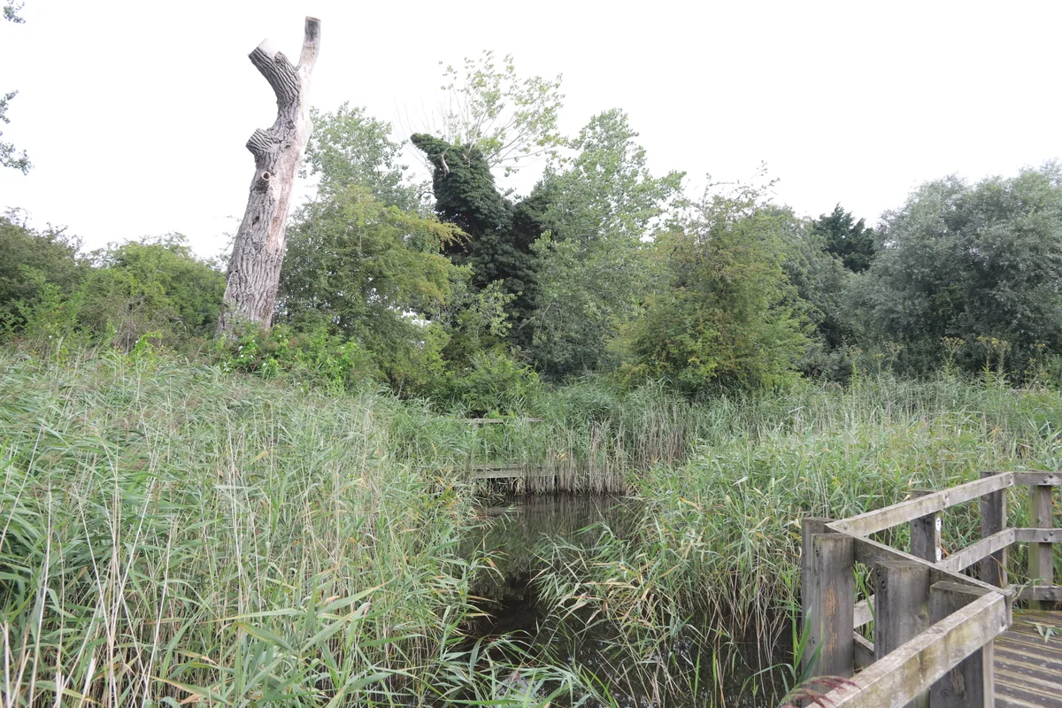 Ramsey Heights nature reserve