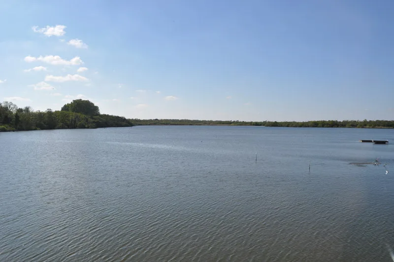 Ranworth Broad