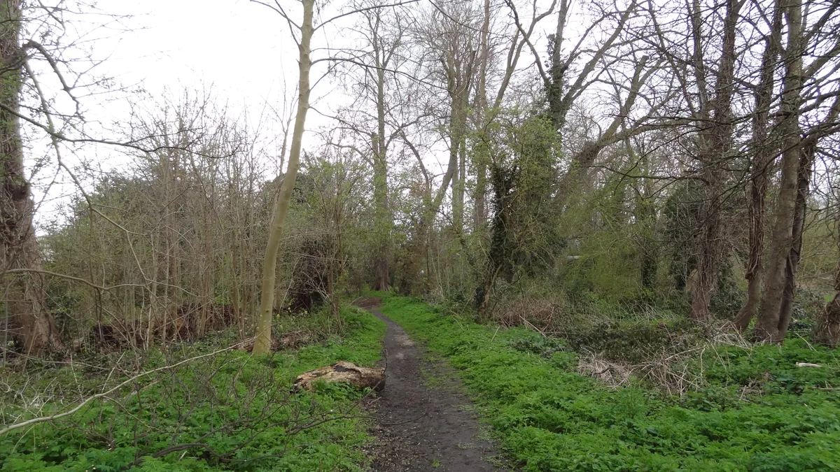 Ravensbury Park