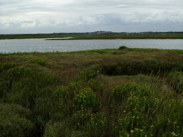 Ray Island