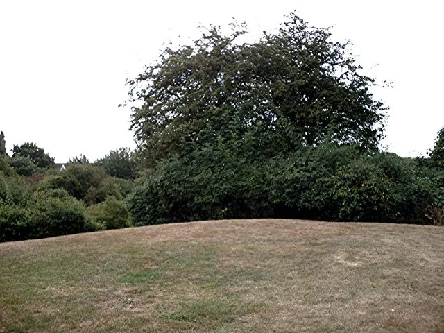 Rayleigh Castle