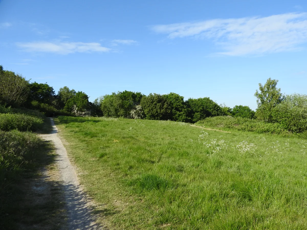 Rede Common