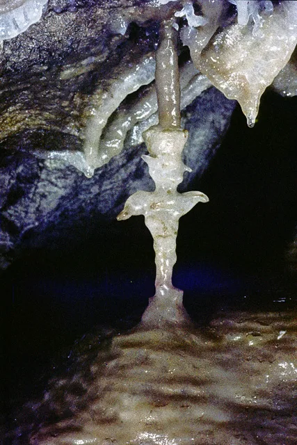 Reed's cave