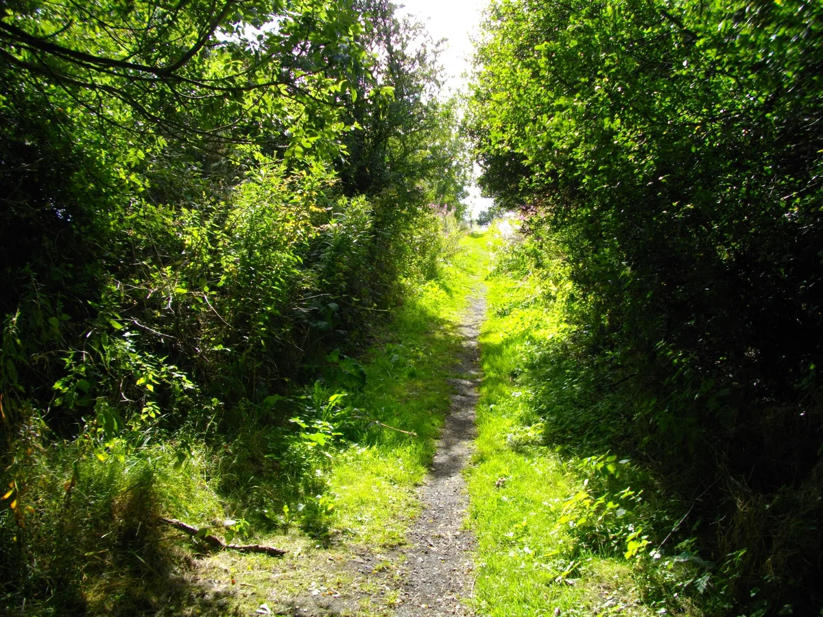Remains of the Stockton and Darlington Railway