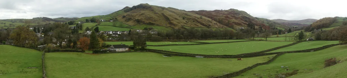 Reston Scar