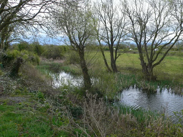 Rhuddlan Nature Reserve