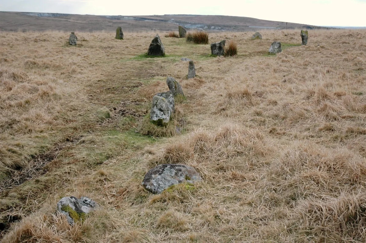 Ringmoor stone row and cairn circle