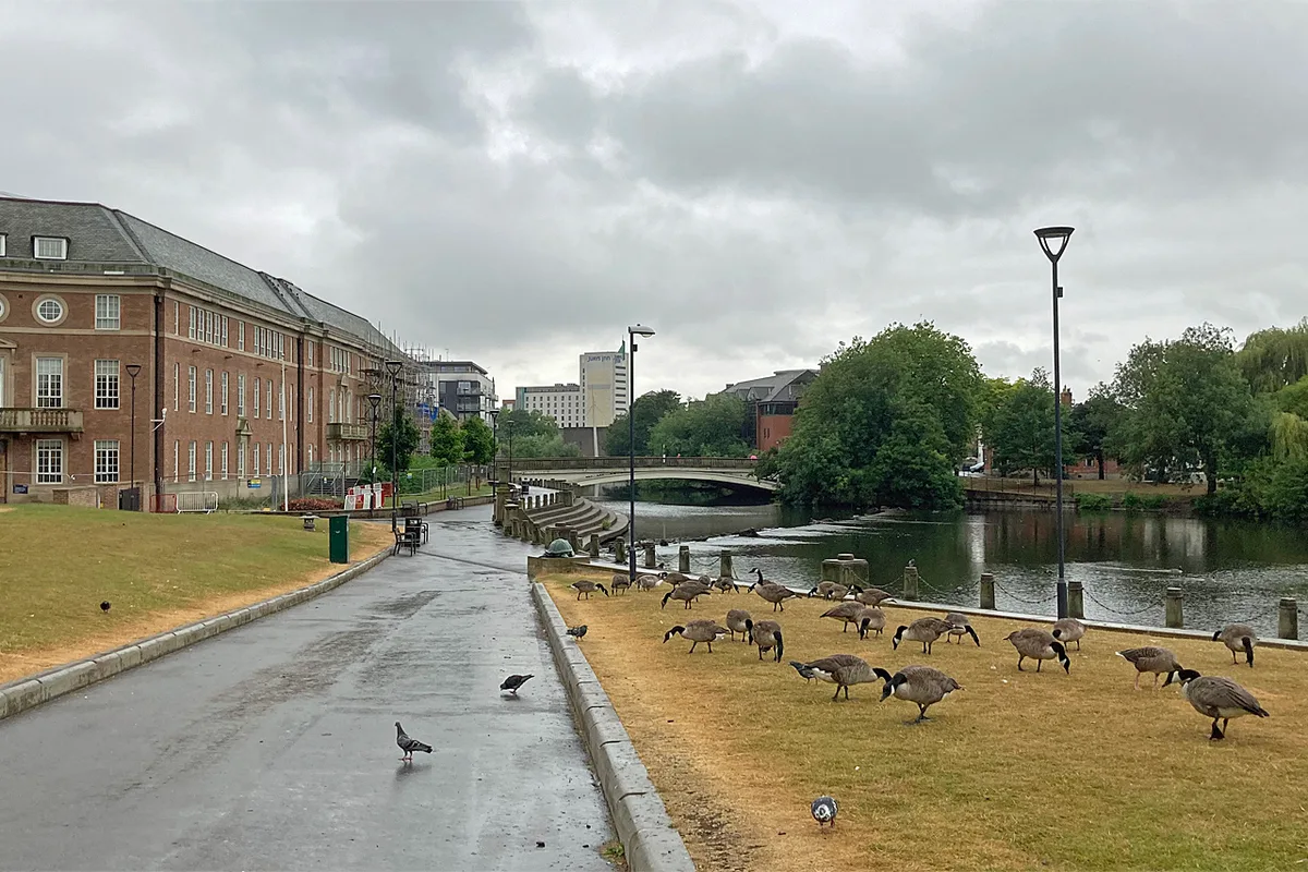Riverside Garden