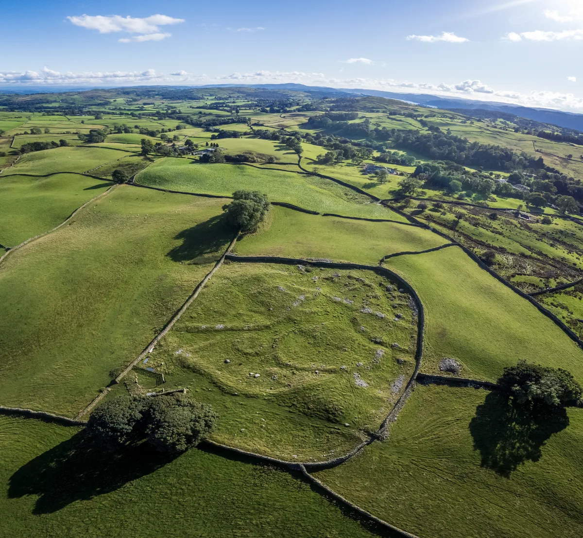 Romano-British settlement, 450m east of High Borrans