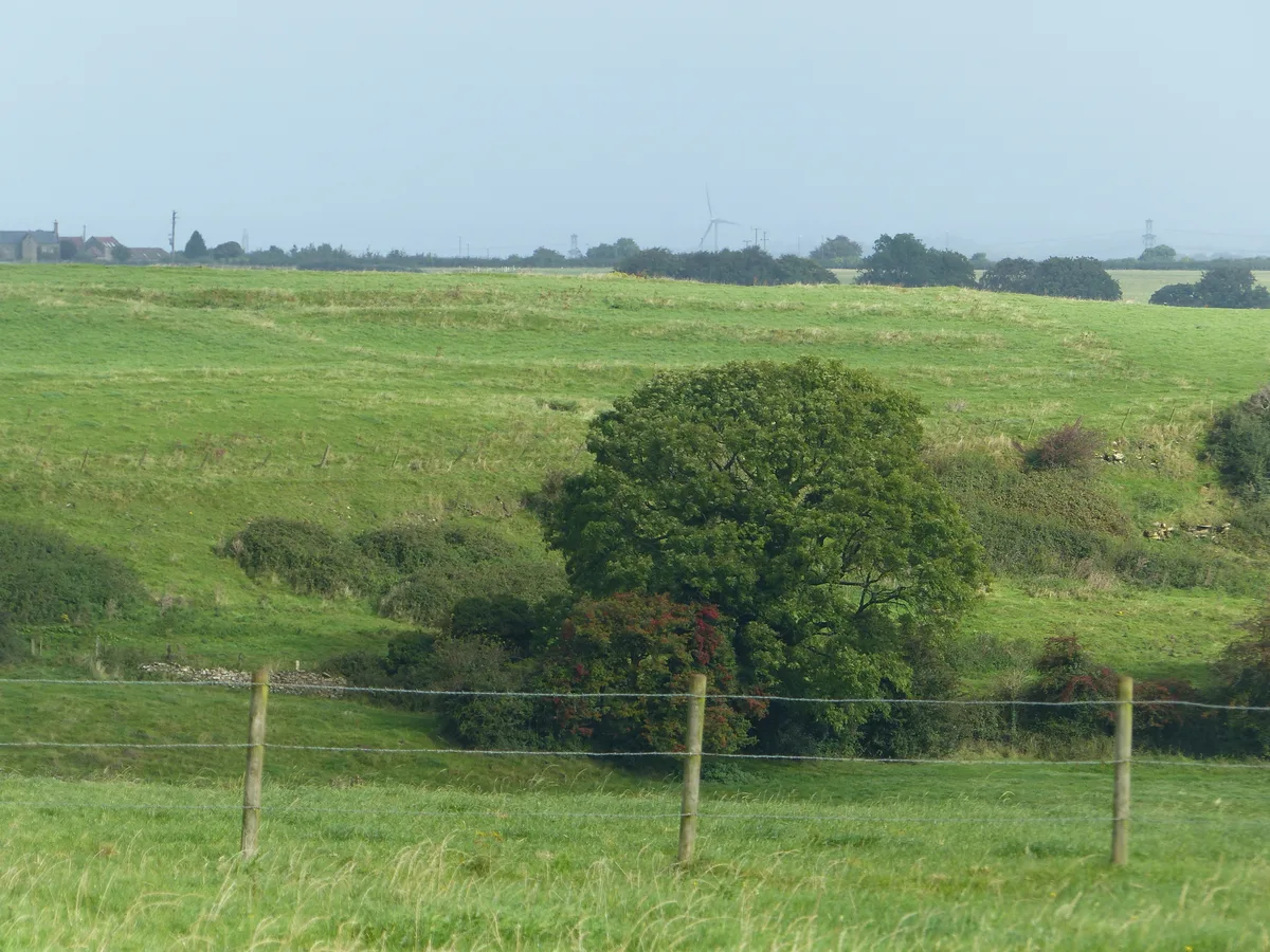 Romano-British settlement E of Sir Bevil Granville's Monument