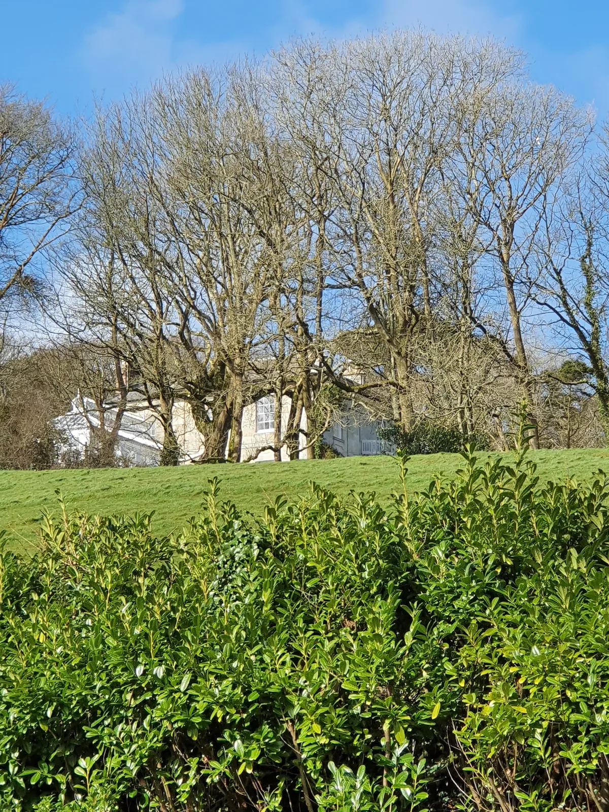 Rosehill Manor