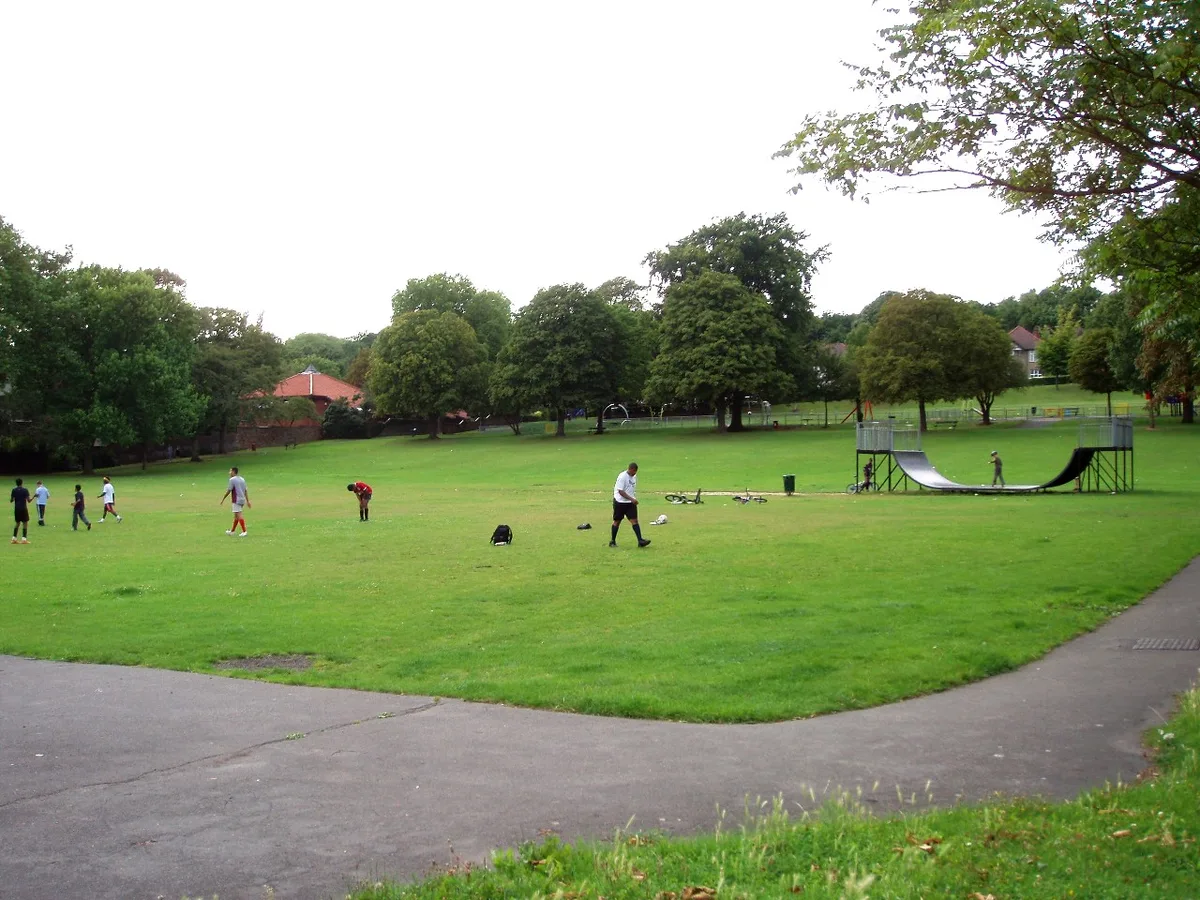 Rotary Field