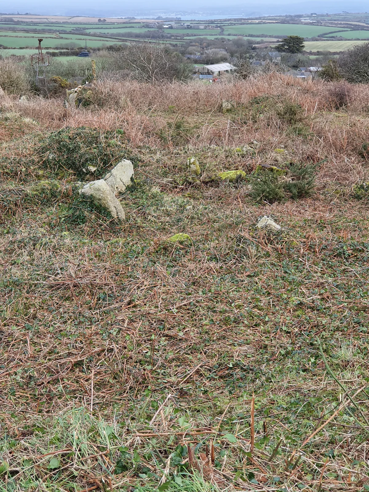 Round, courtyard house settlement and field system 140m WNW of Goldherring