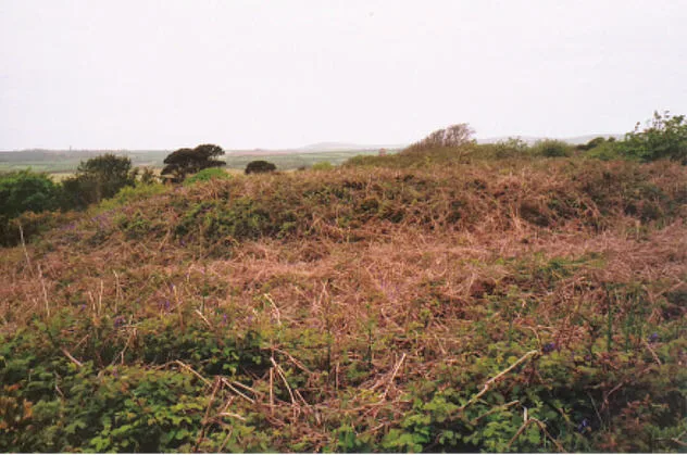 Round, courtyard house, stone hut circle settlement and field system 275m north of Castallack Carn