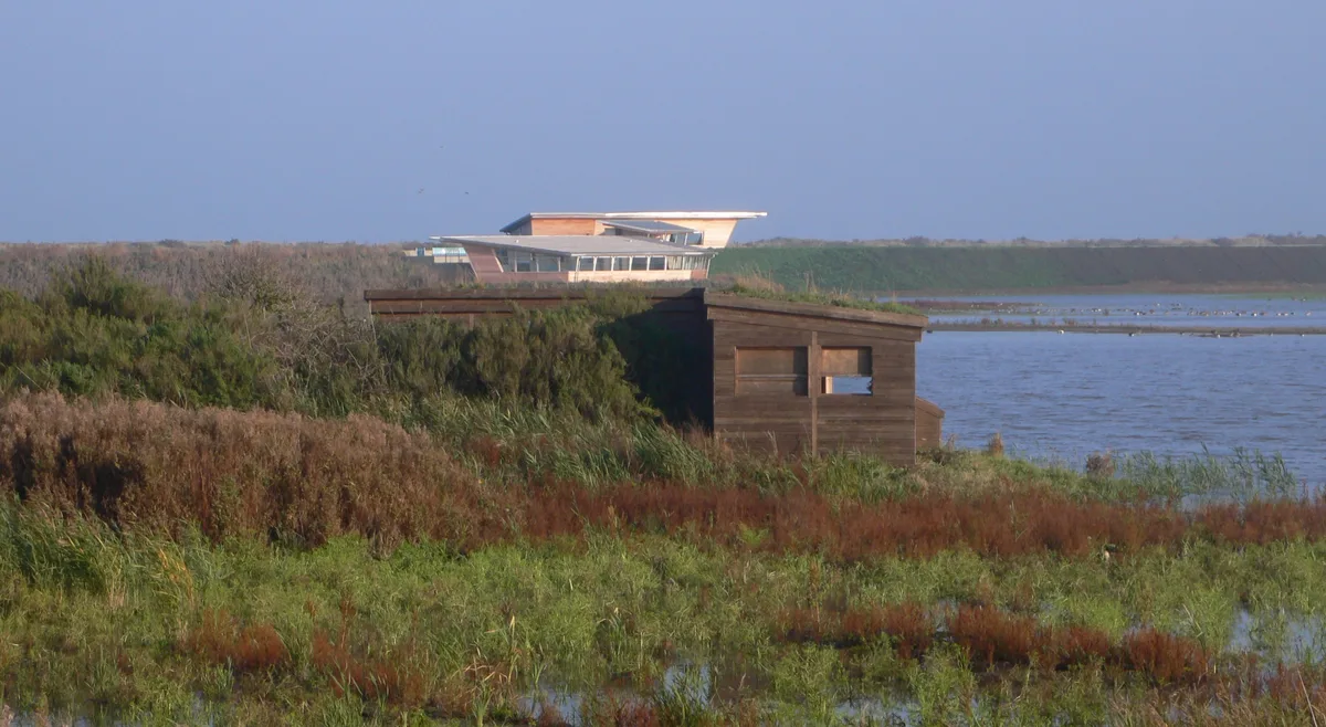RSPB Titchwell Marsh