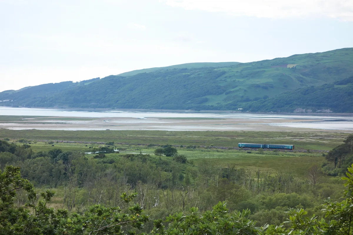 RSPB Ynys-hir
