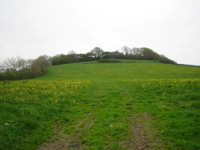Rudbaxton Rath