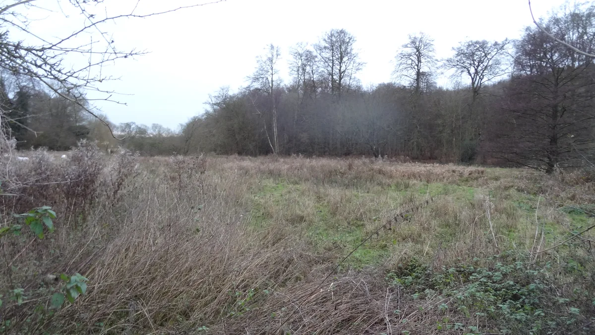 Sarratt Bottom nature reserve
