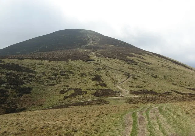 Scald Law