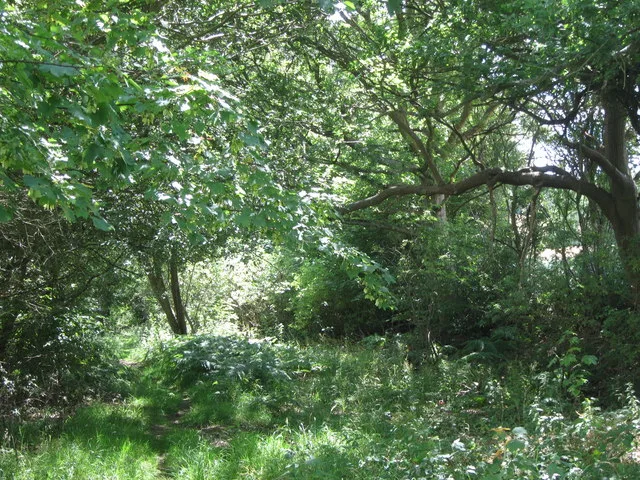 Section of Roman road 270yds (250m) in length SE of Holtye Common