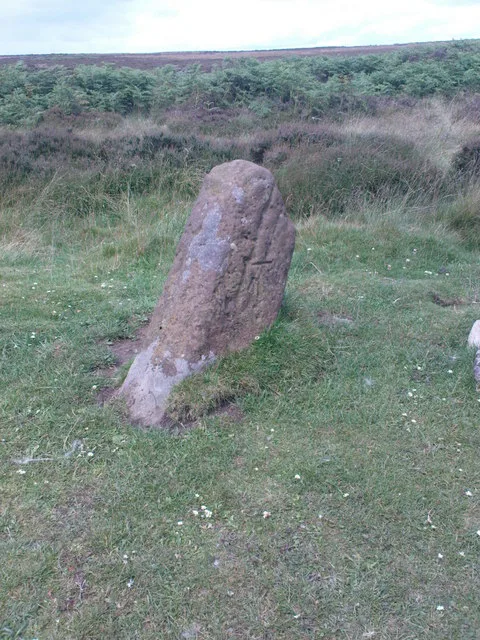 Section of the Cleave Dyke system on Arden Little Moor known as Steeple Cross Dyke including the Steeple Cross boundary stone