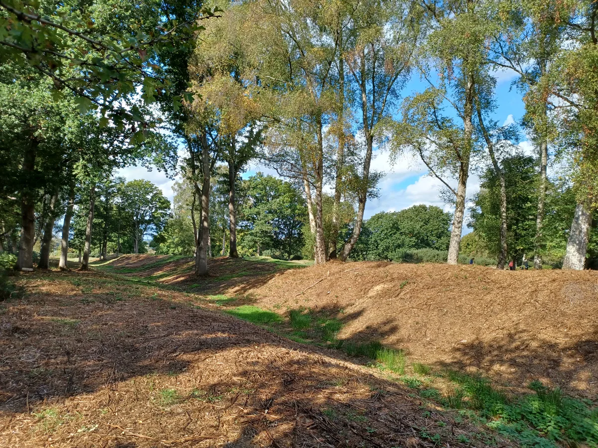 Sections of Grims Ditch