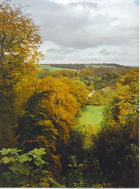 Selborne Hill