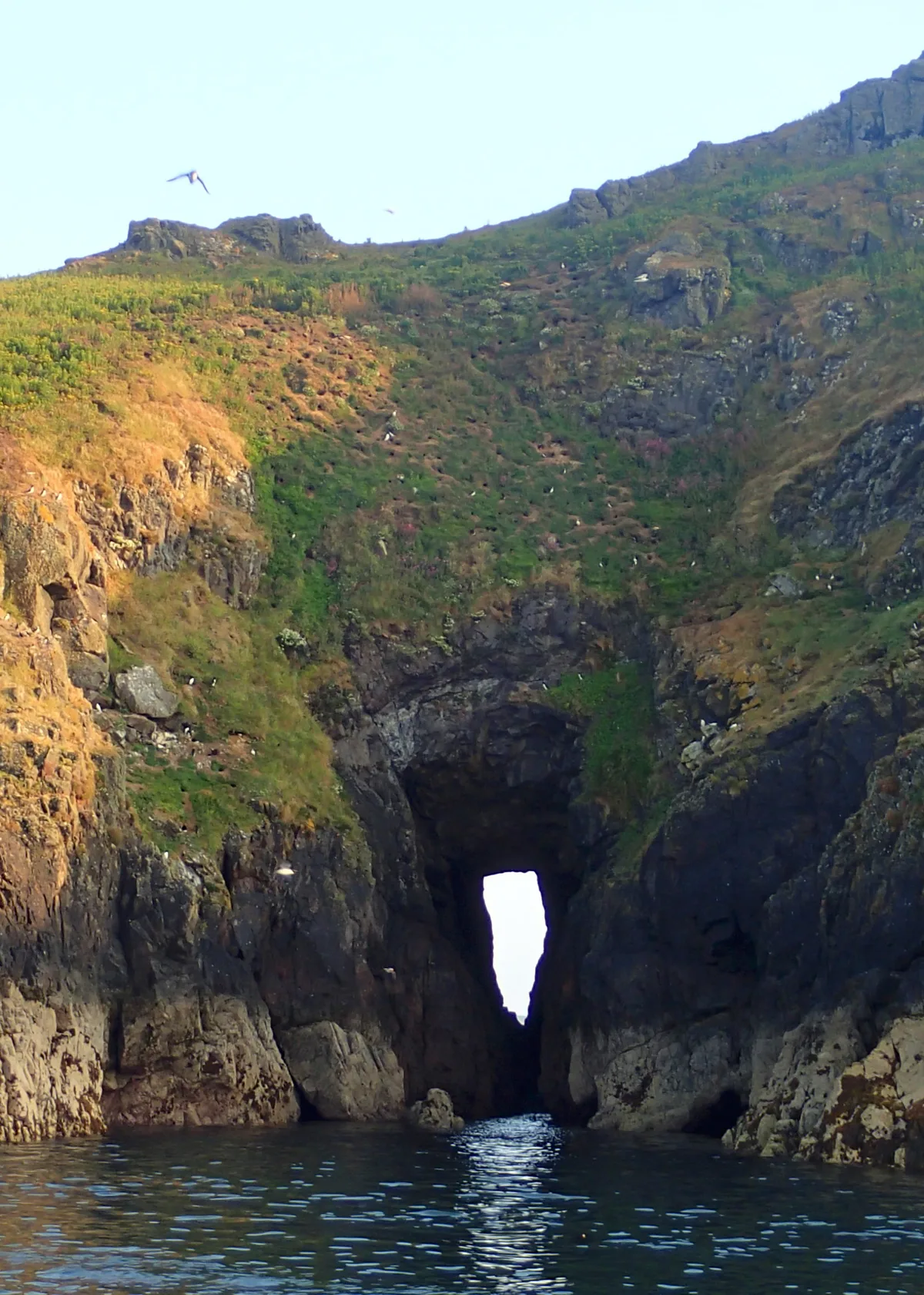 Shag Hole Bay