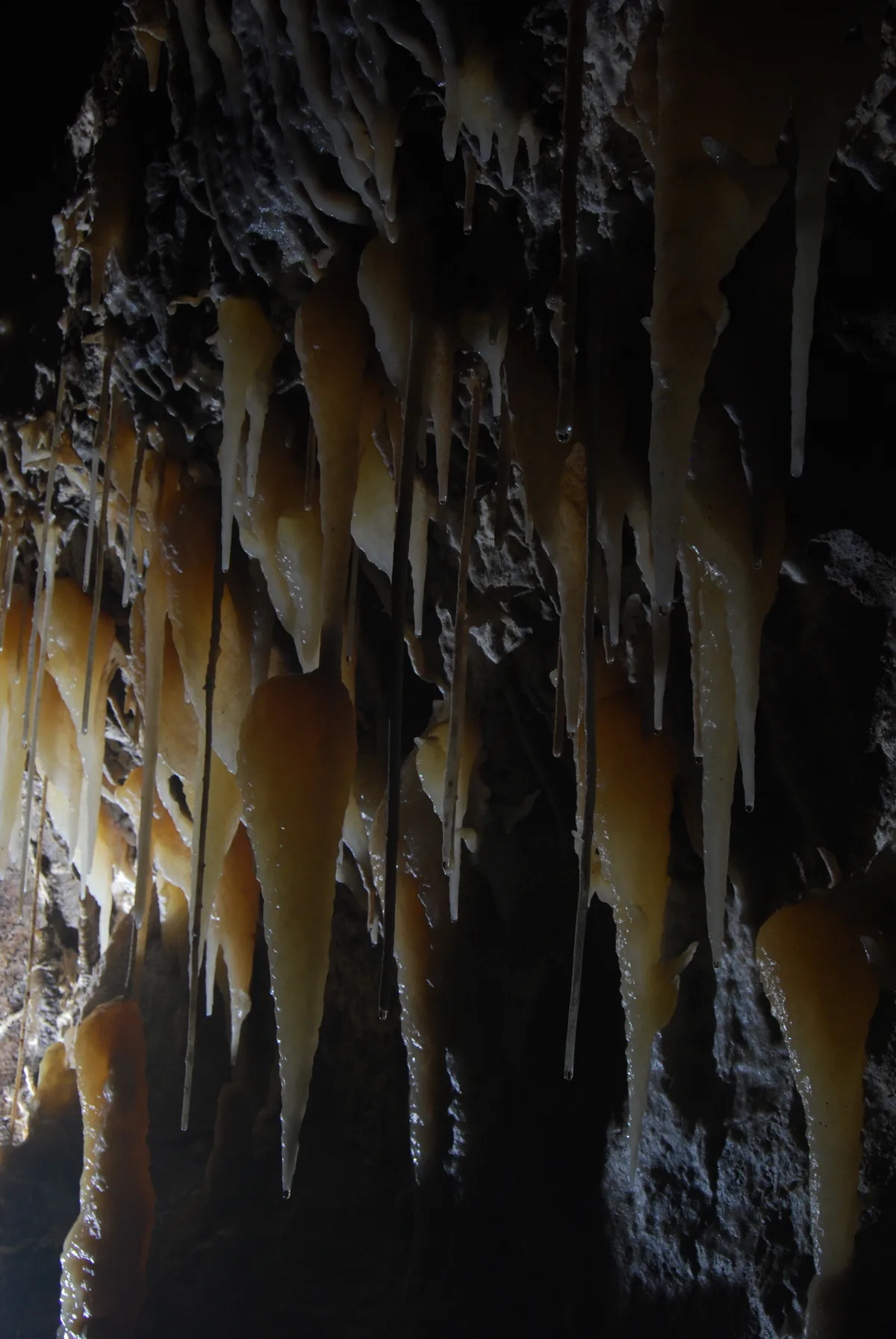 Shannon Cave